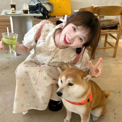 理想与现实